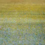 Rugs - Lilo Rug Thym 160 X 230 - MAISON VIVARAISE - SDE VIVARAISE WINKLER