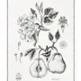 Kitchen linens - Pereira/Poirier - Tea Towel - LUZ EDITIONS
