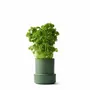Spices - BILLUND self-watering pots - CRUSHGRIND® DENMARK
