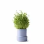 Spices - BILLUND self-watering pots - CRUSHGRIND® DENMARK