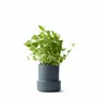 Spices - BILLUND self-watering pots - CRUSHGRIND® DENMARK