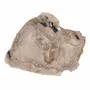 Platter and bowls - Petrified Wood Plates - XYLEIA PETRIFIED WOOD