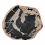 Platter and bowls - Petrified Wood Plates - XYLEIA PETRIFIED WOOD