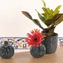 Poterie - POTERIE POUR FLEURISTE - RASTELI - BELGIUM