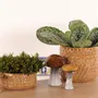 Poterie - POTERIE POUR FLEURISTE - RASTELI - BELGIUM