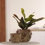 Poterie - POTERIE POUR FLEURISTE - RASTELI - BELGIUM