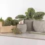 Poterie - POTERIE POUR FLEURISTE - RASTELI - BELGIUM