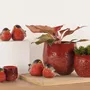 Poterie - POTERIE POUR FLEURISTE - RASTELI - BELGIUM