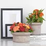 Poterie - POTERIE POUR FLEURISTE - RASTELI - BELGIUM