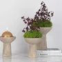 Poterie - POTERIE POUR FLEURISTE - RASTELI - BELGIUM
