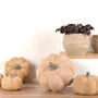 Poterie - POTERIE POUR FLEURISTE - RASTELI - BELGIUM
