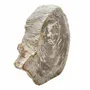 Accessoires de déco extérieure - Sculptures de jardin en bois pétrifié - XYLEIA PETRIFIED WOOD