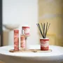 Parfums d'intérieur - Collection - Terre d’Ocre Karité - ESTÉBAN