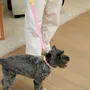Accessoires animaux - Collier pour chien The Fritz - Gris lilas - APPROVED BY FRITZ