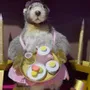 Decorative objects - Cuisine et Gourmandise - ANIMATE FACTORY