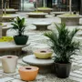 Flower pots - Disc Planters - WL CERAMICS
