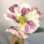 Ceramic - Parrot Tulip - FLEURIR L AVENIR