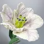 Ceramic - Parrot Tulip - FLEURIR L AVENIR