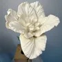 Ceramic - Parrot Tulip - FLEURIR L AVENIR