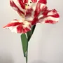 Ceramic - Parrot Tulip - FLEURIR L AVENIR