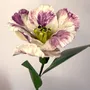 Ceramic - Parrot Tulip - FLEURIR L AVENIR