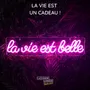 Objets de décoration - LAMPE EFFET NEON LA VIE EST BELLE - LA CHAISE LONGUE DIFFUSION