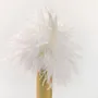 Customizable objects - SABELLI® - LUX TEMPORIS - 4D LIGHTS