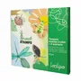 Loisirs créatifs pour enfant - TAMPONS INSECTES À CRÉER + 4 ENCREURS - LOOLIPO