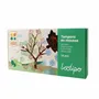 Loisirs créatifs pour enfant - Tampons géants en mousse - 4 Saisons - LOOLIPO