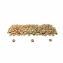 Loisirs créatifs pour enfant - Boutons fleuris en bambou - LOOLIPO