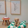 Tissus d'extérieur - Le lit pour chien Fritz - APPROVED BY FRITZ