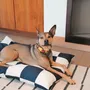 Tissus d'extérieur - Le lit pour chien Fritz - APPROVED BY FRITZ