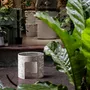 Coffee tables - DIEM round table small - BANG