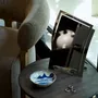 Mirrors - QUA Mirror - A4 - BANG