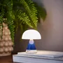 Design objects - Gift set Lexon x Pantone - LEXON