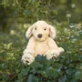Soft toy - Plush Character Collection - WRENDALE DESIGNS