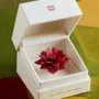 Cadeaux - Coffret Yü Lotus - YÜSSÉE