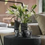 Objets de décoration - Bougie de luxe ARABIAN EYES - 3300g | ARTITUDE HOME - ARTITUDE HOME