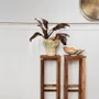 Console table - Recycled wooden side table - MADAM STOLTZ