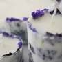 Candles - Free Flow 10 - KOTT