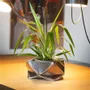 Vases - PRISMA - STEFANOMANO