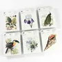 Gifts - Writing Pads & Envelopes - THE PEPIN PRESS