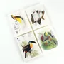 Gifts - Writing Pads & Envelopes - THE PEPIN PRESS