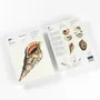 Gifts - Writing Pads & Envelopes - THE PEPIN PRESS