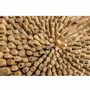 Other wall decoration - Driftwood wall decoration - LANA - HYDILE