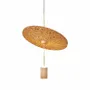 Suspensions - Votre design à Cork - BARNACORK