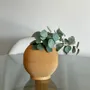 Vases - VASE - ROUNDED CANDY - MENDELEK STUDIO