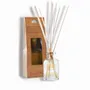 Scent diffusers - Parfumeur Quadra 100 ml Caresse d'Ambre (with box) - LES LUMIERES DU TEMPS