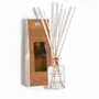 Scent diffusers - Parfumeur Quadra 100 ml Plaisir Gourmand (with box) - LES LUMIERES DU TEMPS