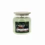 Candles - Colored Wax Candle 430 g Under the Fig Tree - LES LUMIERES DU TEMPS